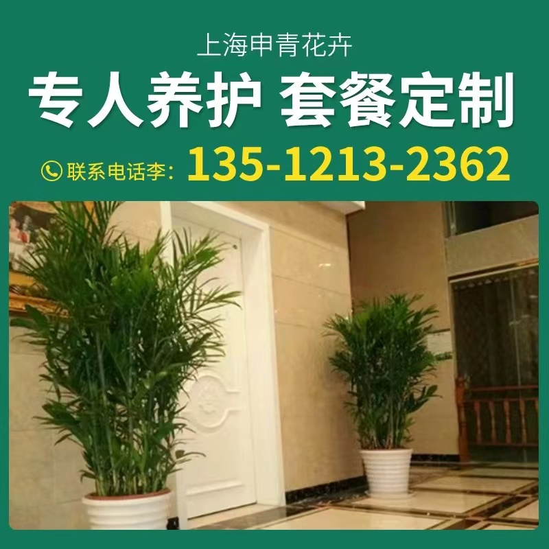 上海植物租赁/>
<blockquote class=