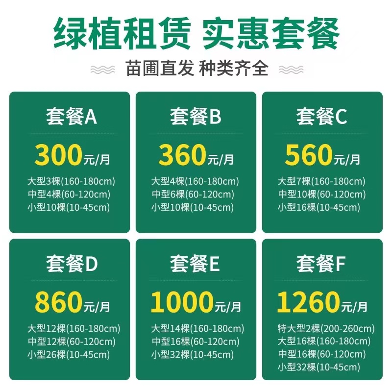 上海植物租赁哪家便宜